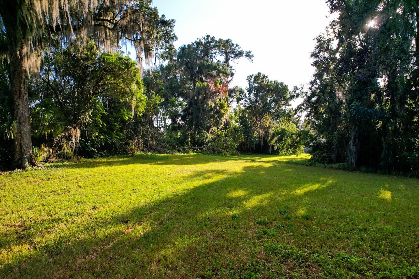  in OCALA, FL - Daniel Dourado