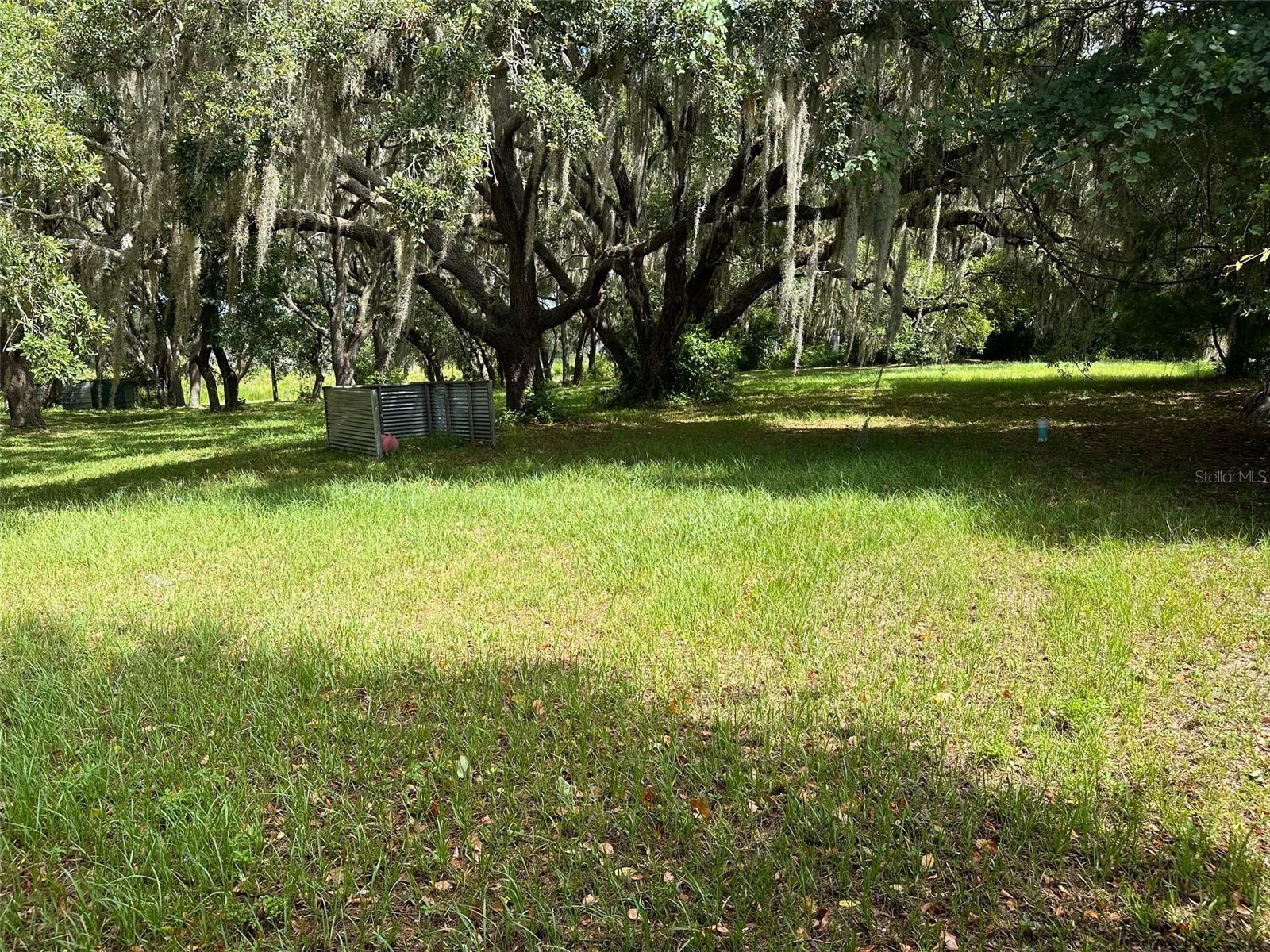 Business em INVERNESS, FL - Daniel Dourado