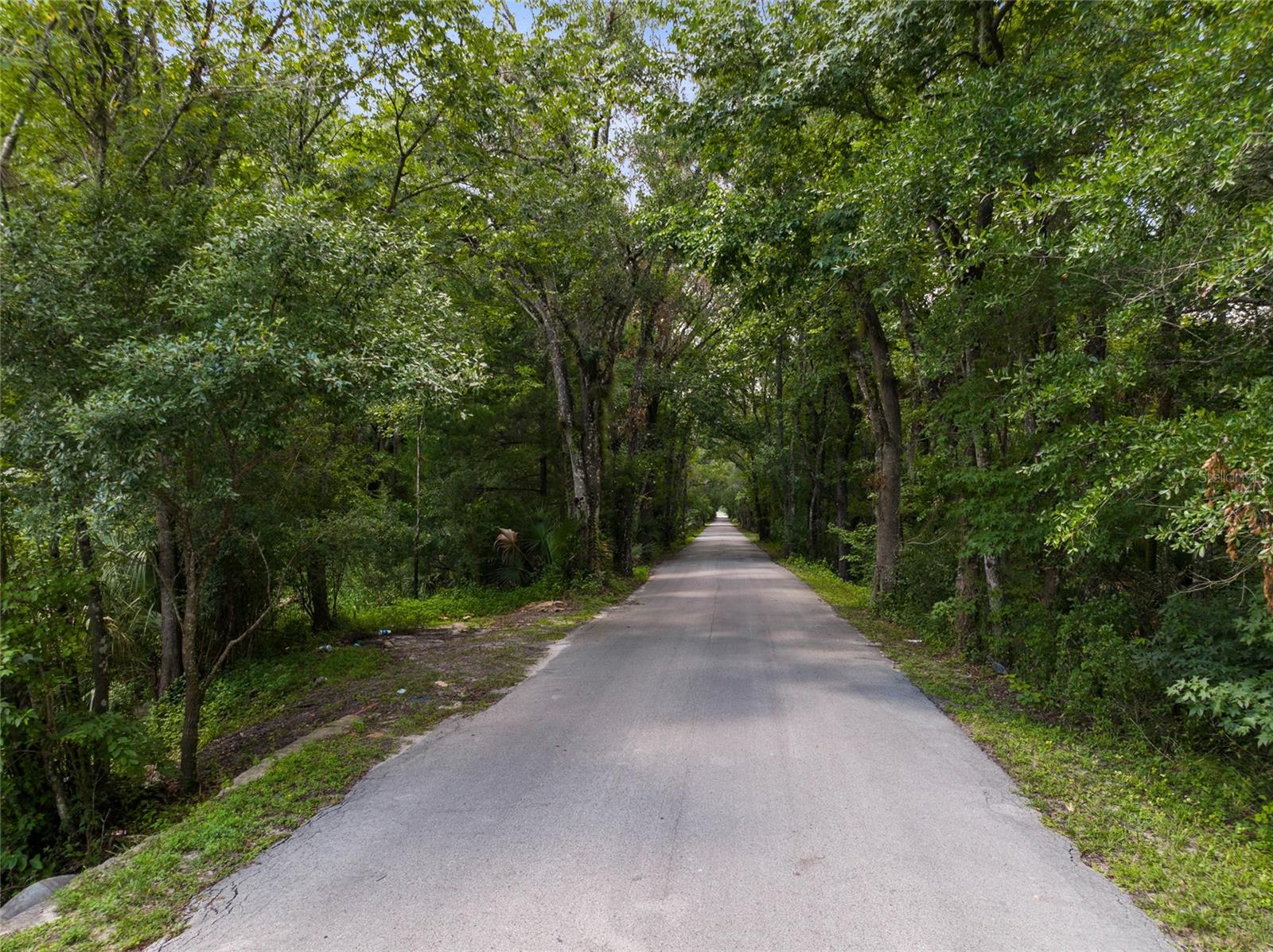  em ORLANDO, FL - Daniel Dourado