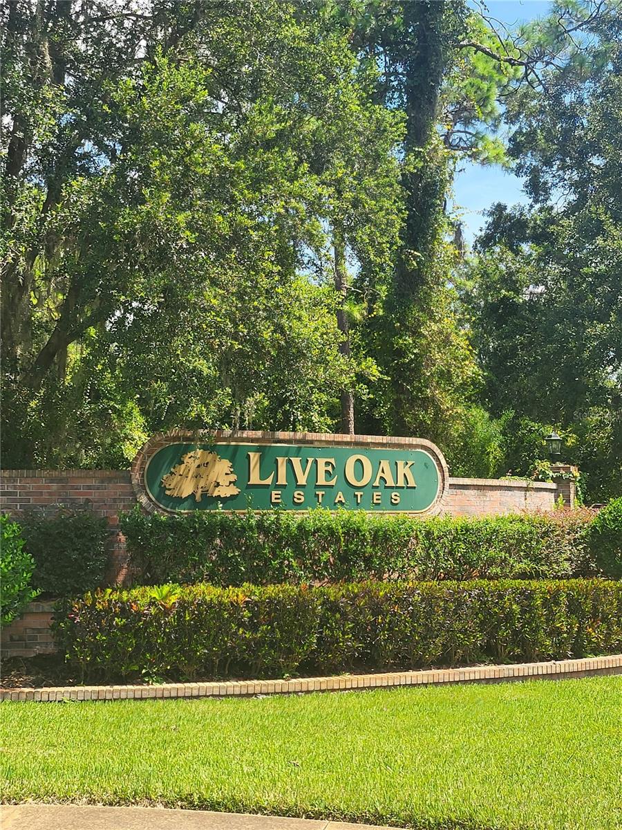  em ORLANDO, FL - Daniel Dourado