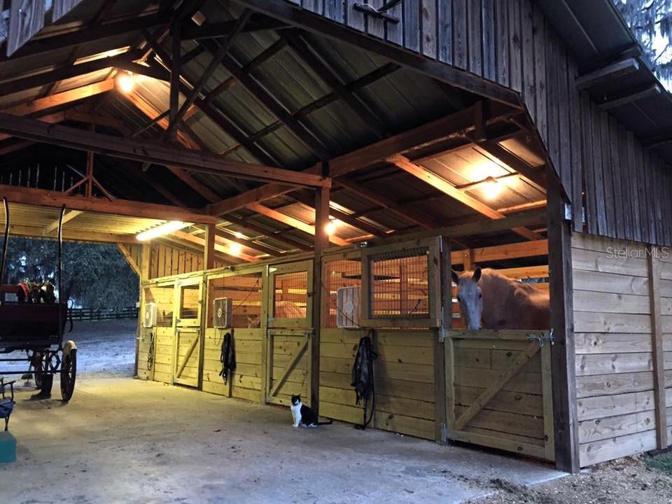 Manufactured Home - Post 1977 em OCALA, FL - Daniel Dourado