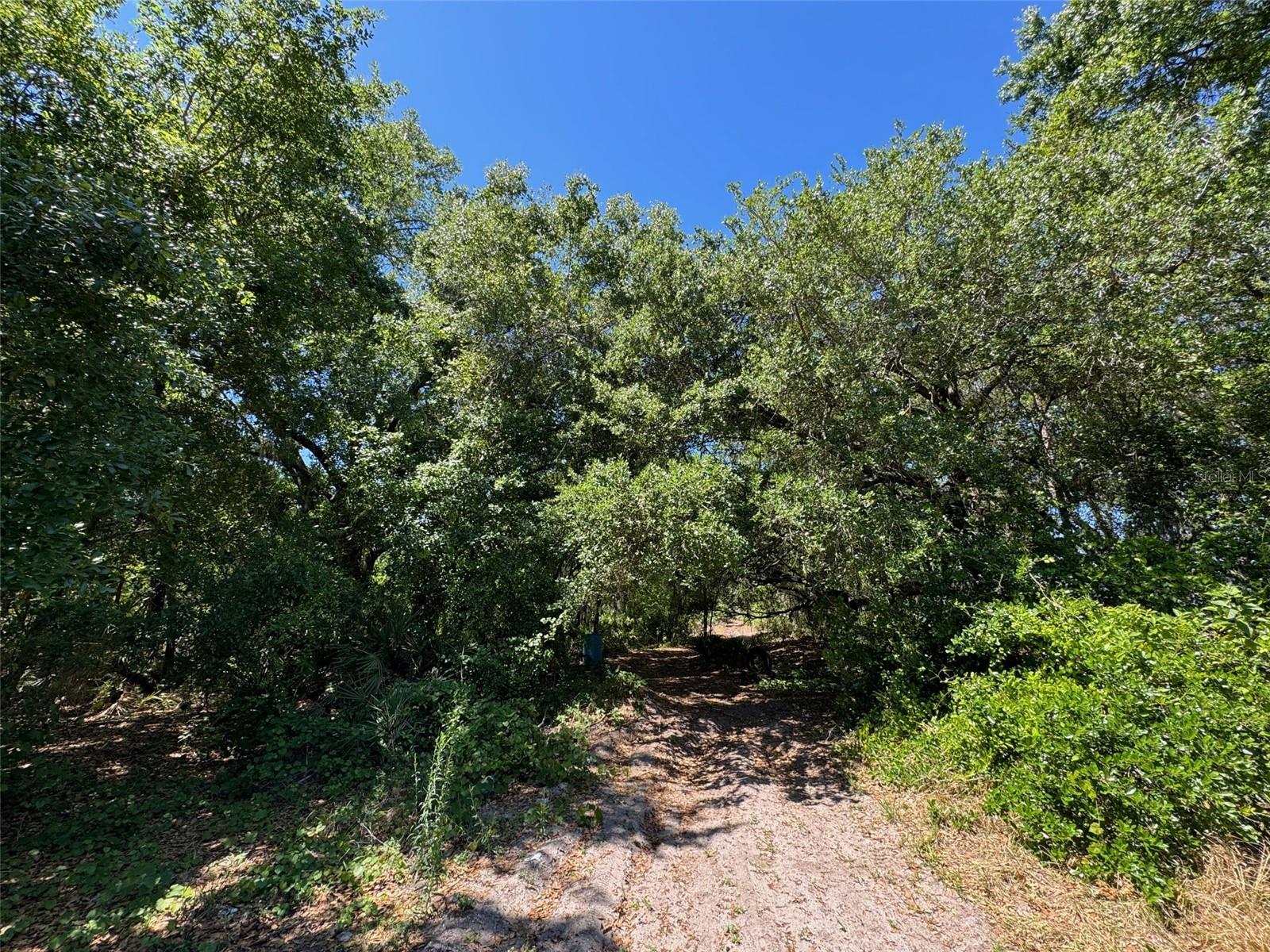  em SAINT CLOUD, FL - Daniel Dourado