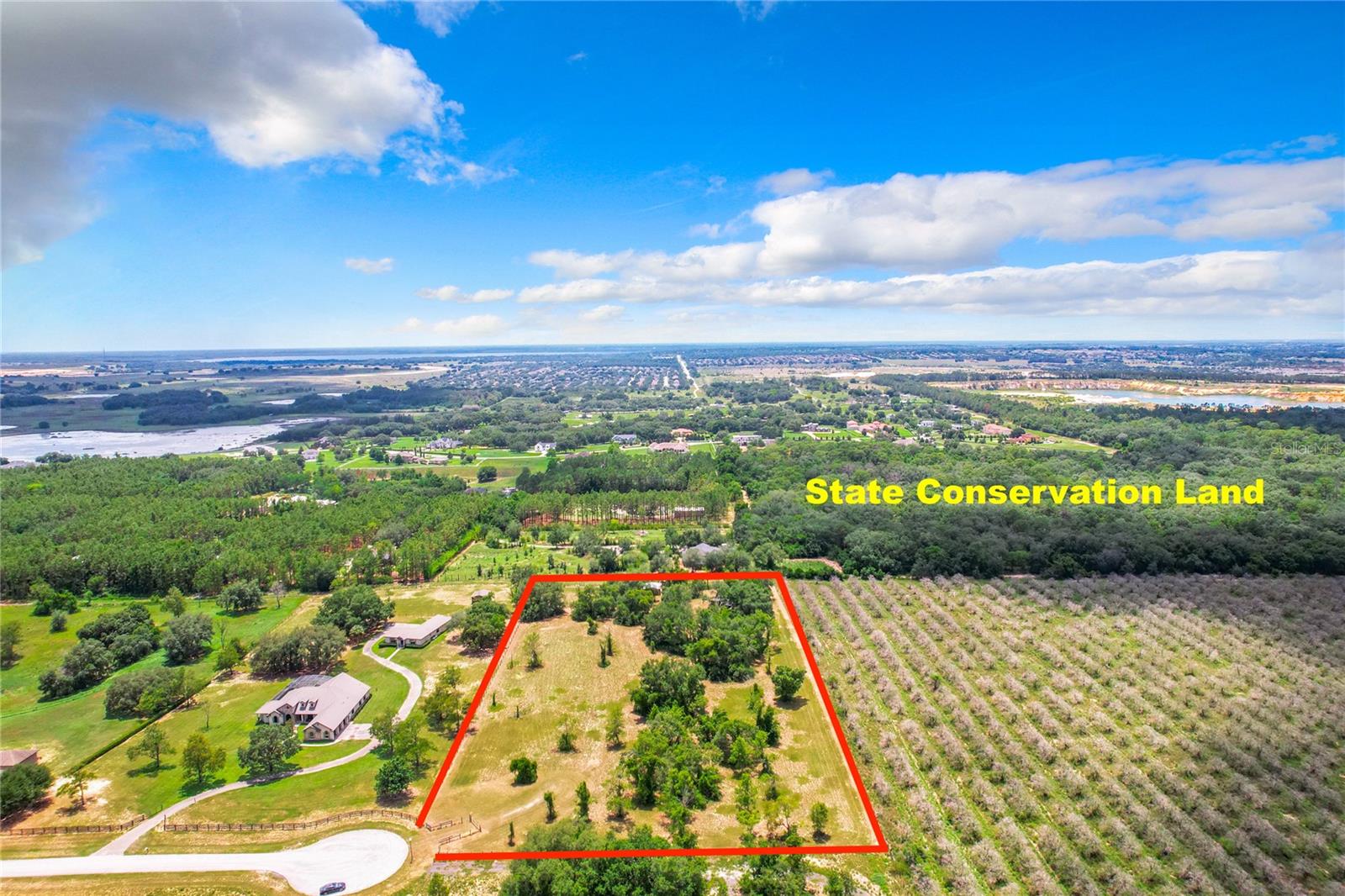  em WINTER GARDEN, FL - Daniel Dourado