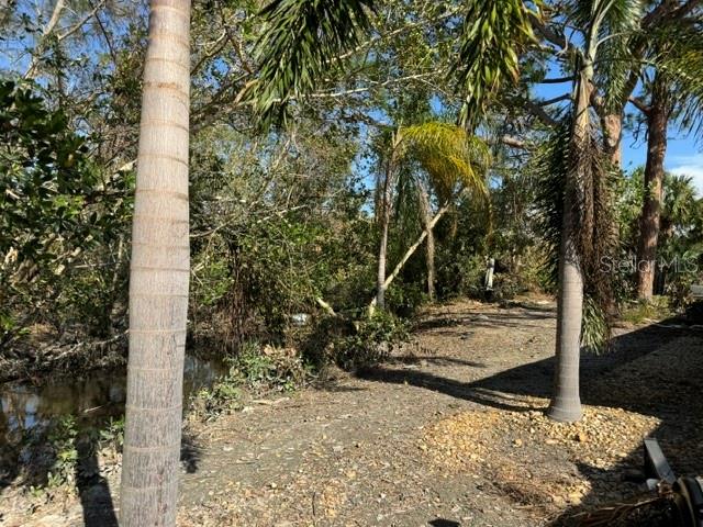  in SARASOTA, FL - Daniel Dourado