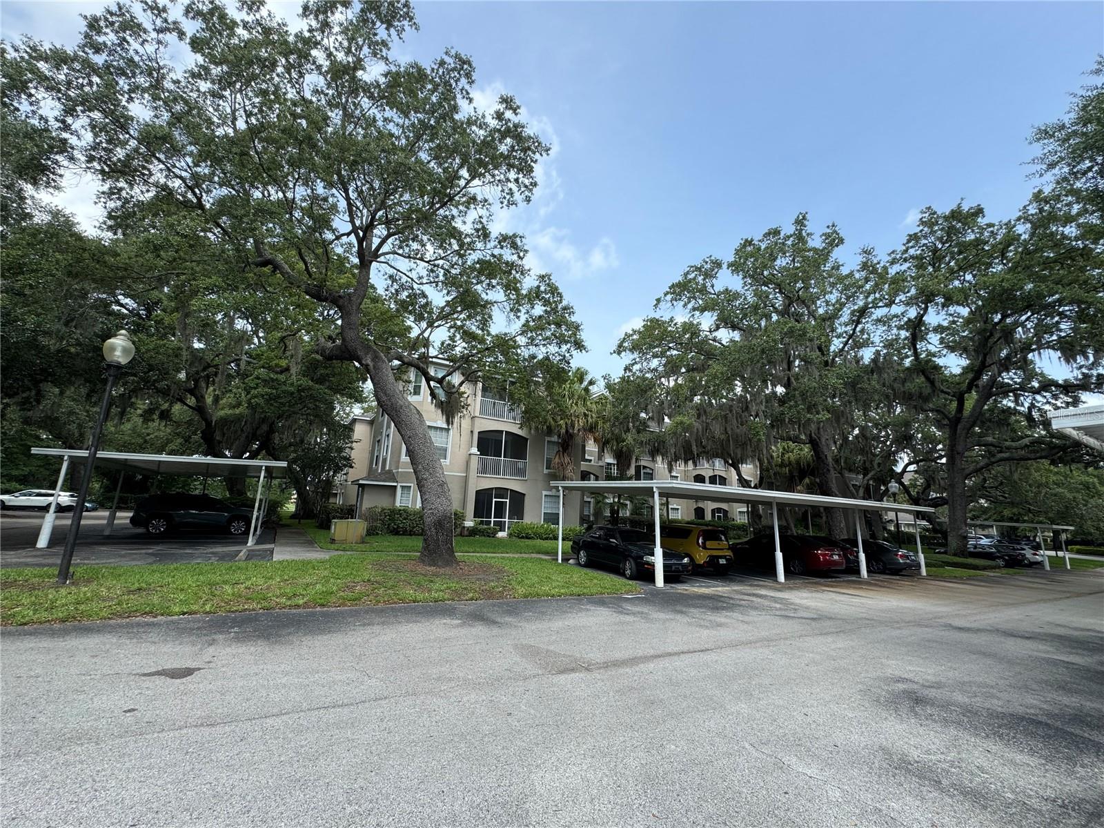 Condominium em ORLANDO, FL - Daniel Dourado