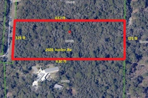  em APOPKA, FL - Daniel Dourado