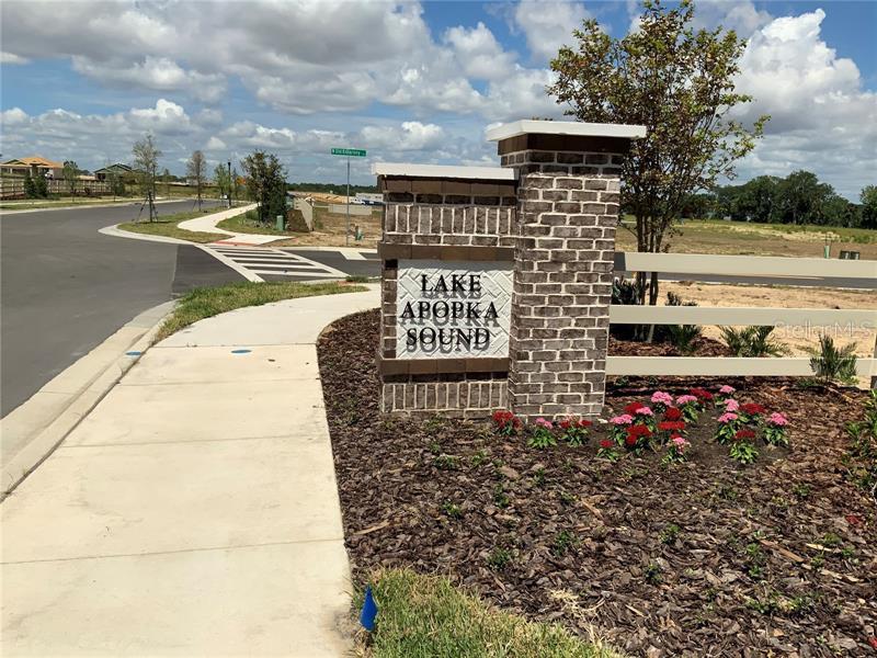  em WINTER GARDEN, FL - Daniel Dourado