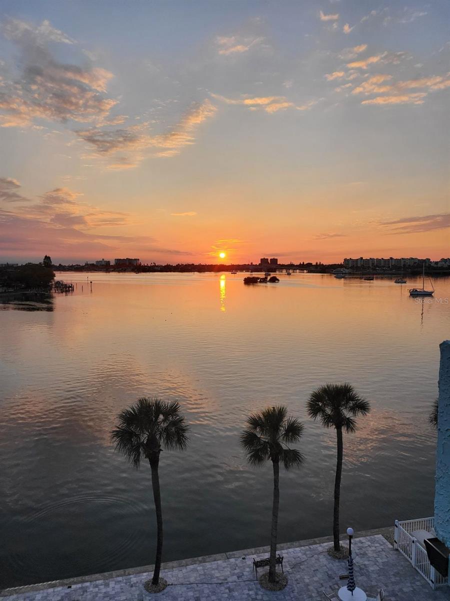 Condominium in SOUTH PASADENA, FL - Daniel Dourado