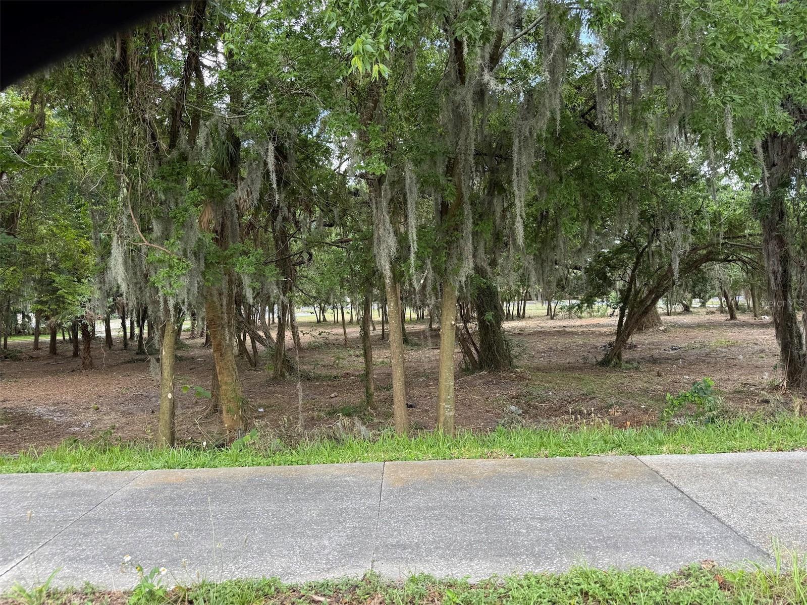  in OCALA, FL - Daniel Dourado