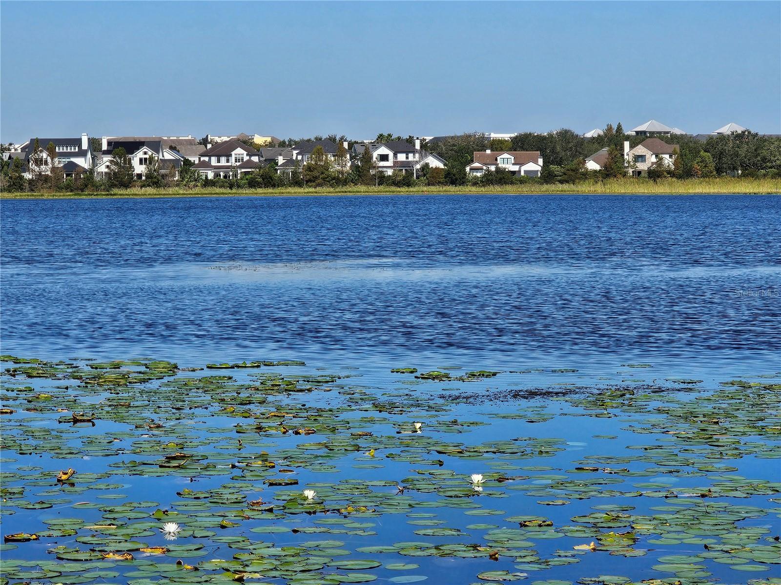 Single Family Residence em ORLANDO, FL - Daniel Dourado