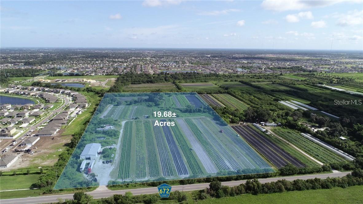  em RIVERVIEW, FL - Daniel Dourado