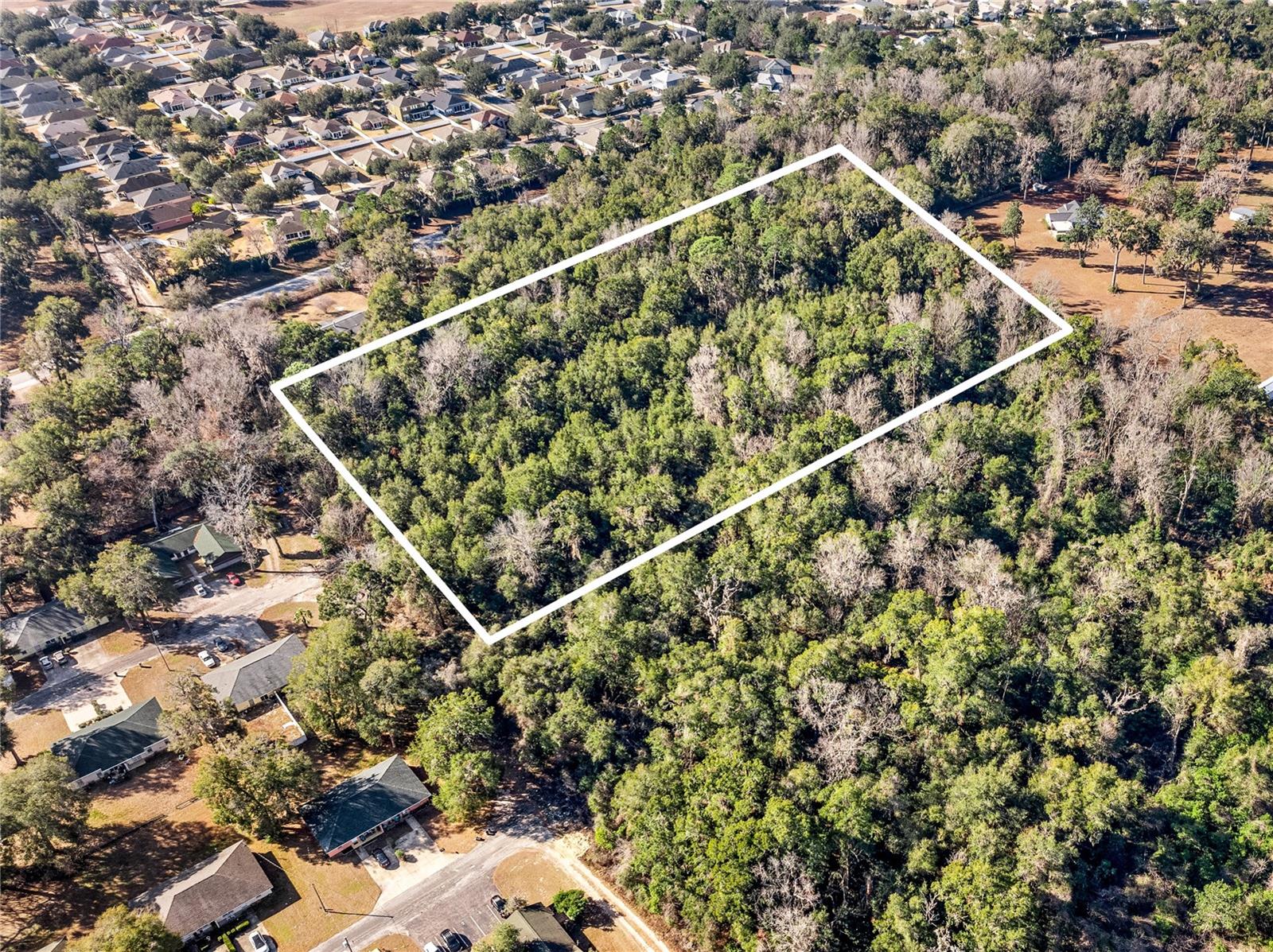  em OCALA, FL - Daniel Dourado