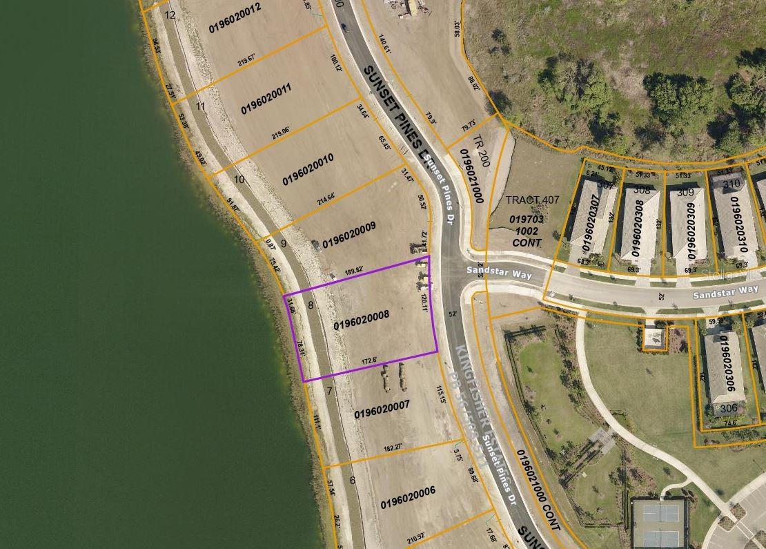  in SARASOTA, FL - Daniel Dourado