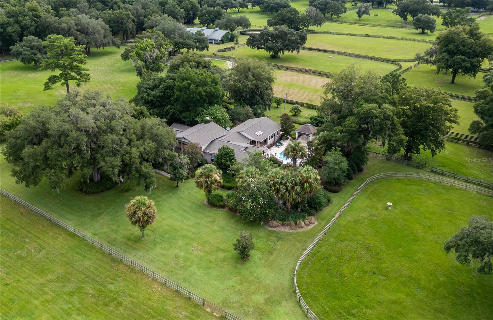 Farm em OCALA, FL - Daniel Dourado