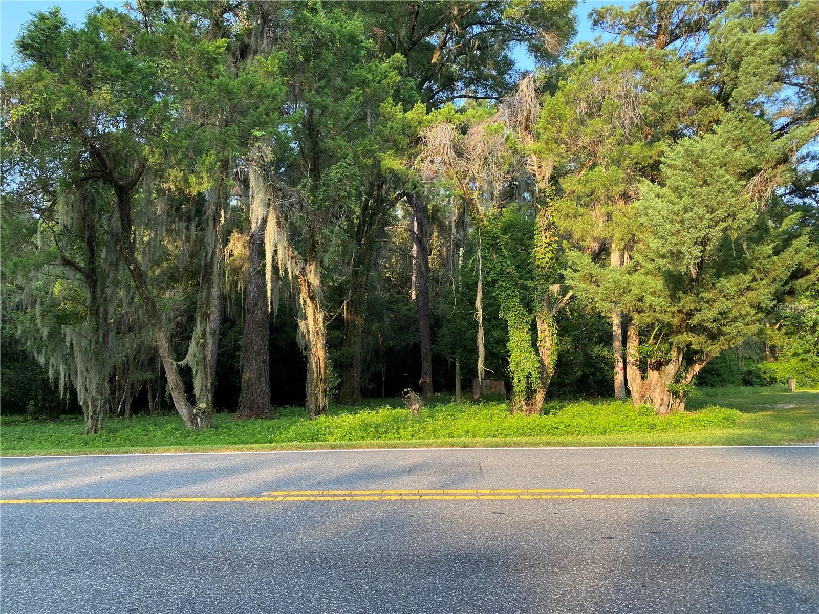 Business em OCALA, FL - Daniel Dourado