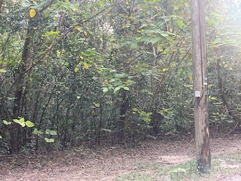  em OCALA, FL - Daniel Dourado