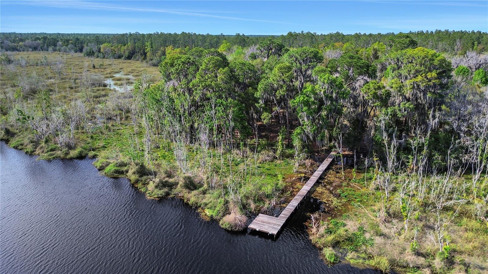  em OCALA, FL - Daniel Dourado