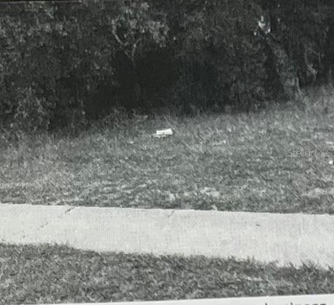  em ORLANDO, FL - Daniel Dourado