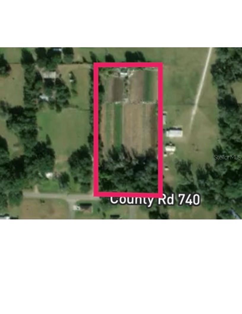  em WINTER GARDEN, FL - Daniel Dourado