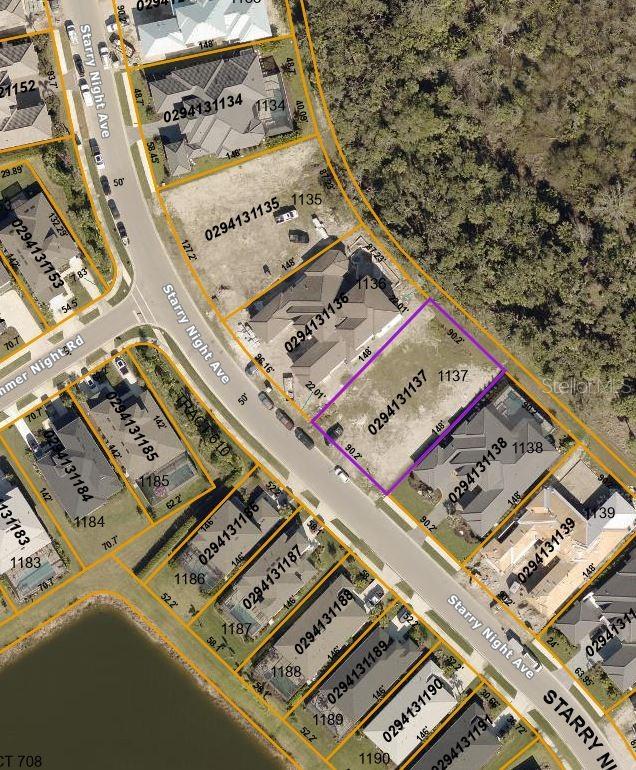  in SARASOTA, FL - Daniel Dourado