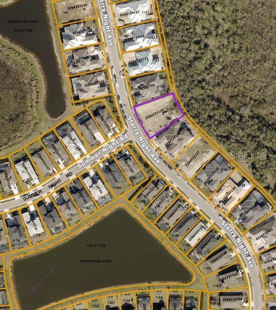  in SARASOTA, FL - Daniel Dourado