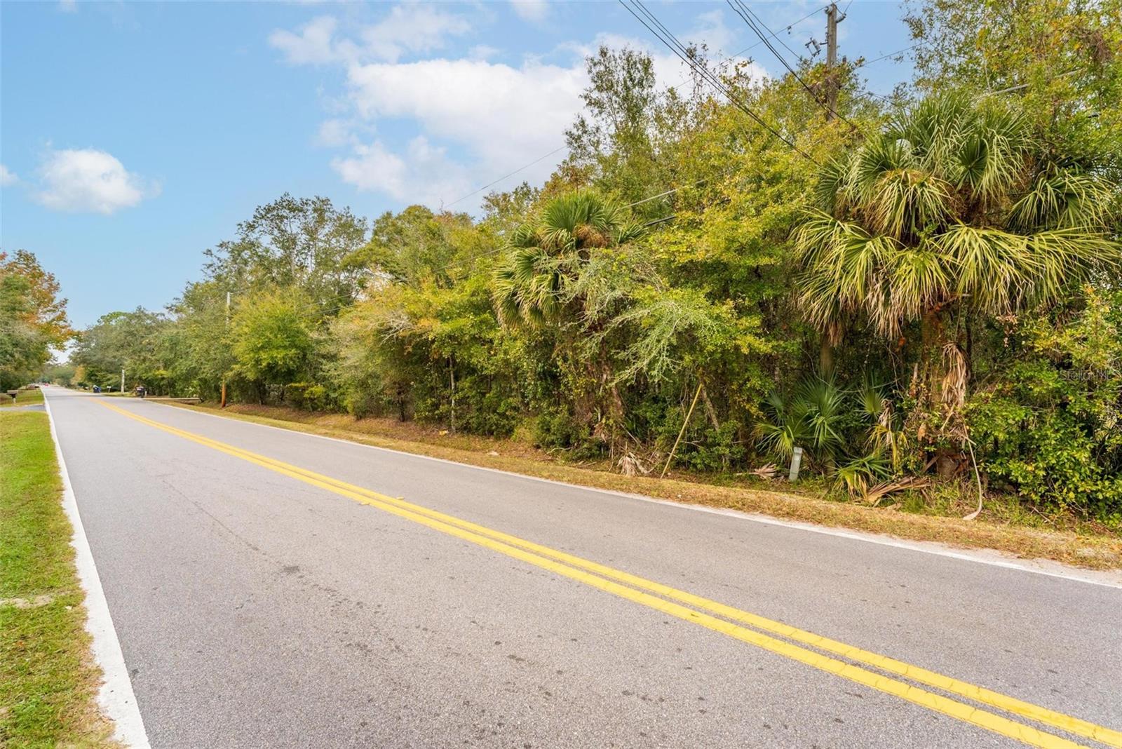  em ORLANDO, FL - Daniel Dourado