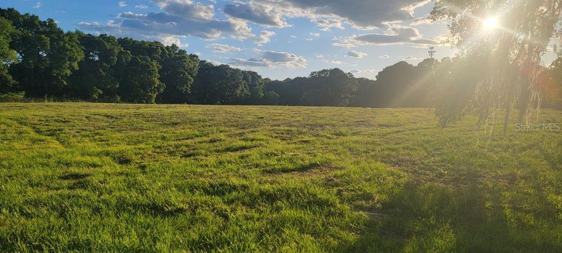  em OCALA, FL - Daniel Dourado