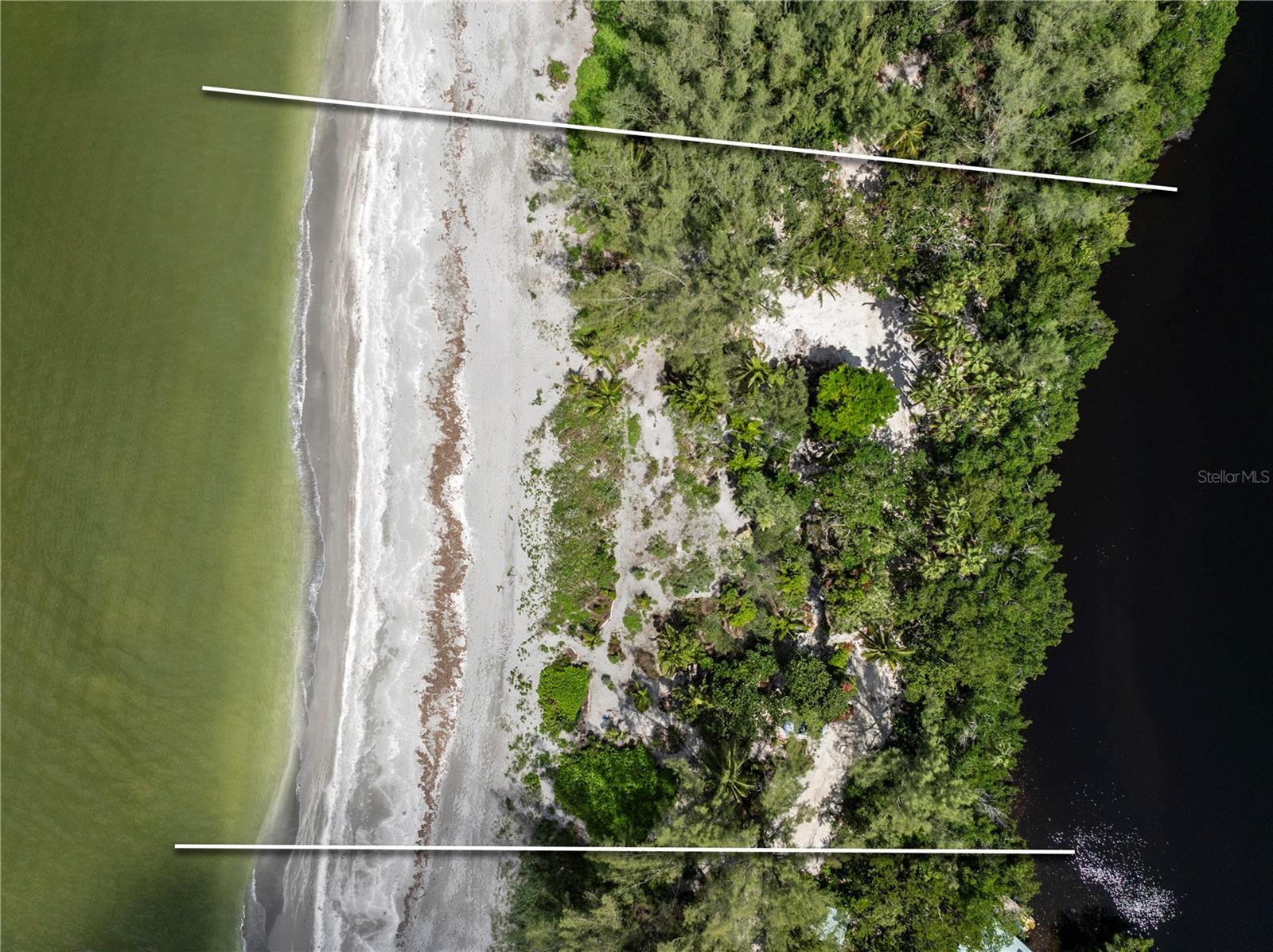 Single Family Residence in SARASOTA, FL - Daniel Dourado