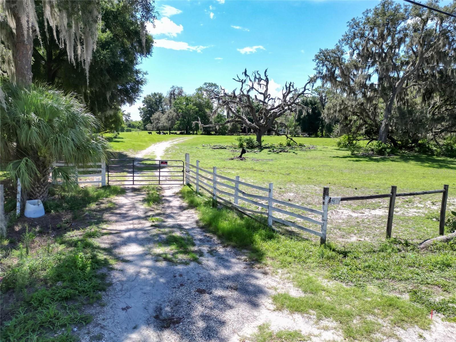  in LAKELAND, FL - Daniel Dourado