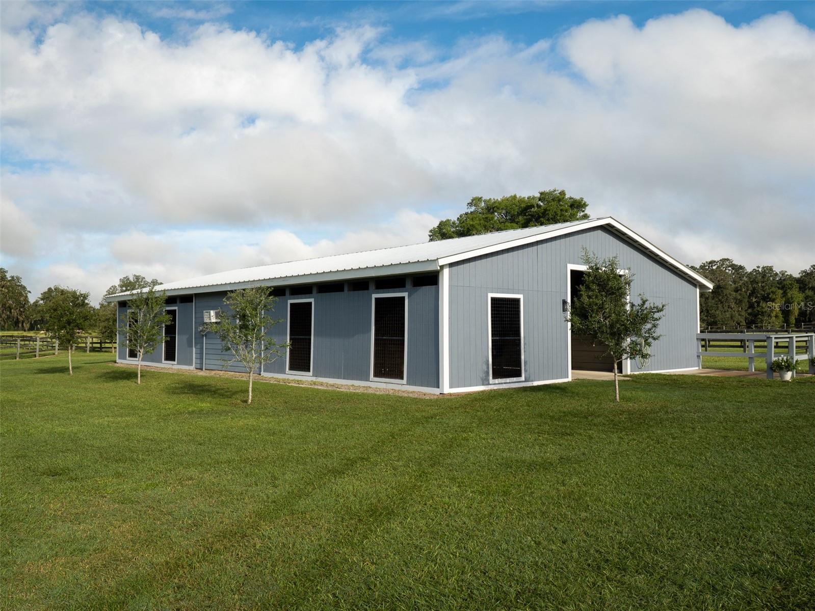  em OCALA, FL - Daniel Dourado