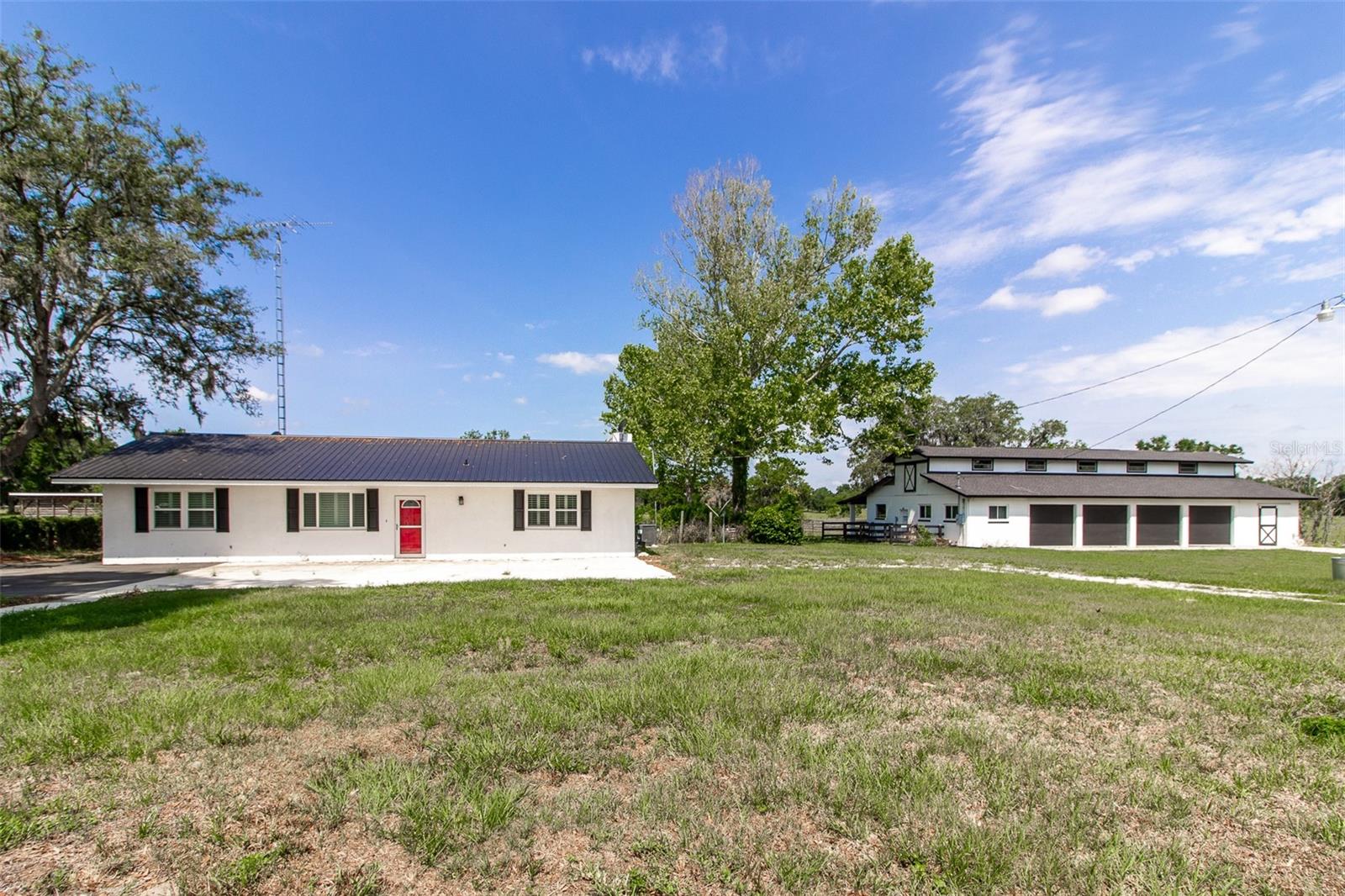 Farm em OCALA, FL - Daniel Dourado