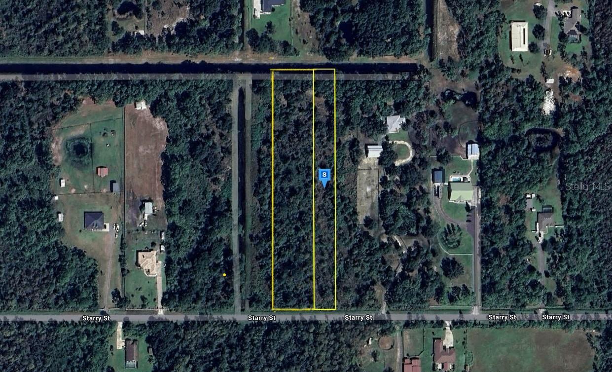  in ORLANDO, FL - Daniel Dourado