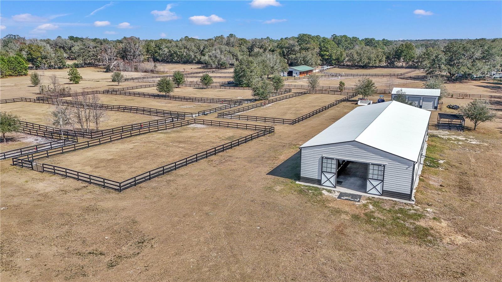  em OCALA, FL - Daniel Dourado