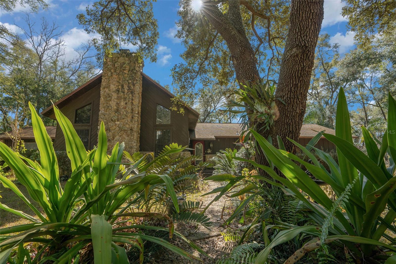 Single Family Residence em OCALA, FL - Daniel Dourado