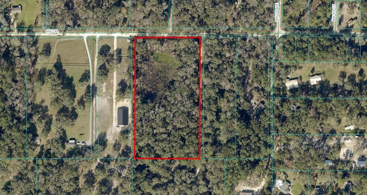  em OCALA, FL - Daniel Dourado