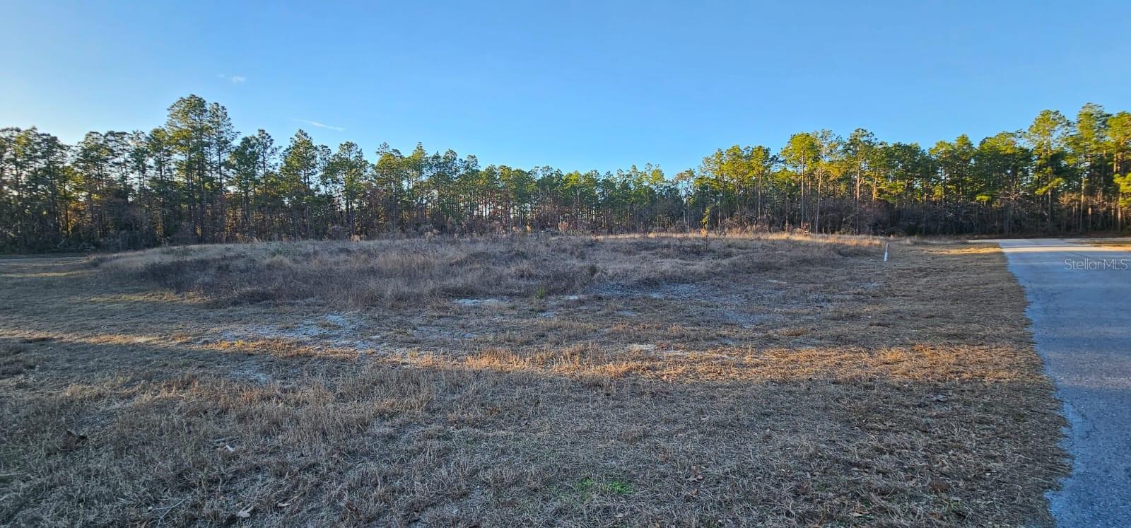  em OCALA, FL - Daniel Dourado