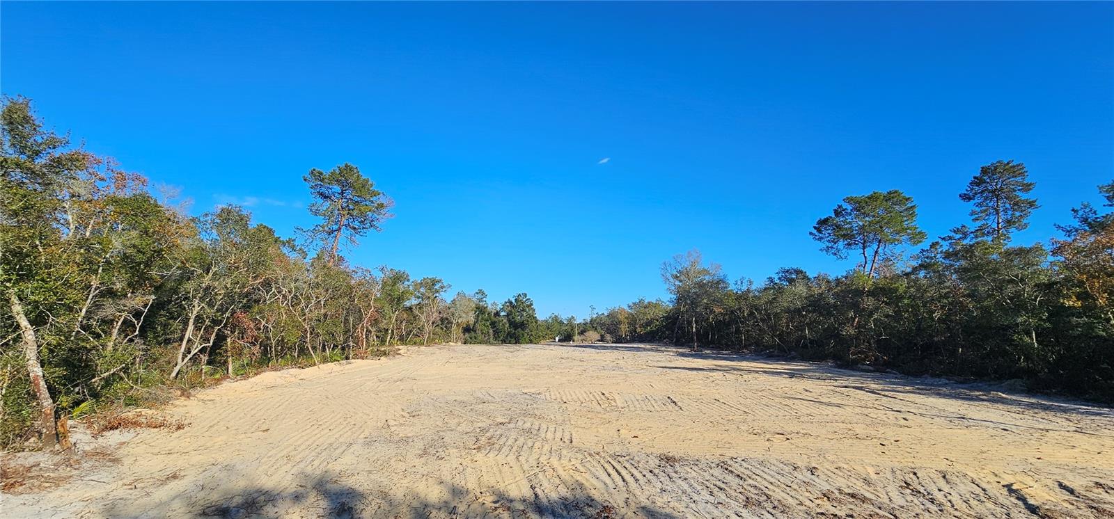  em OCALA, FL - Daniel Dourado