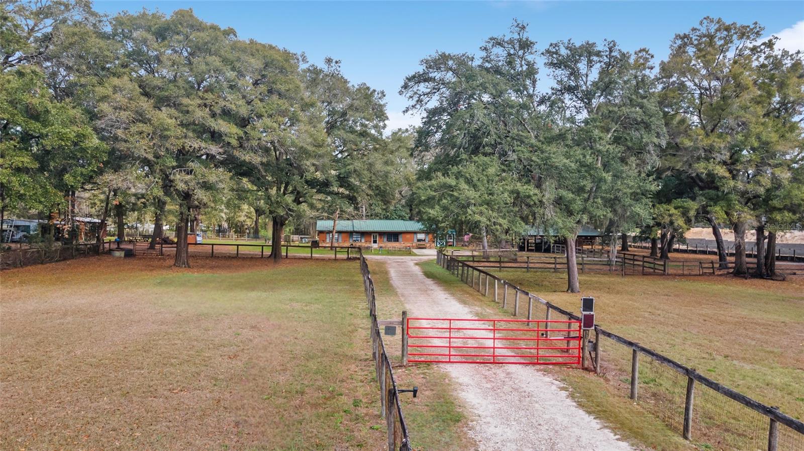 Farm em OCALA, FL - Daniel Dourado