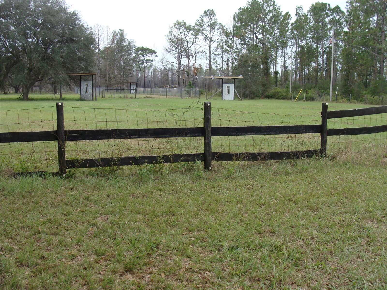  em OCALA, FL - Daniel Dourado