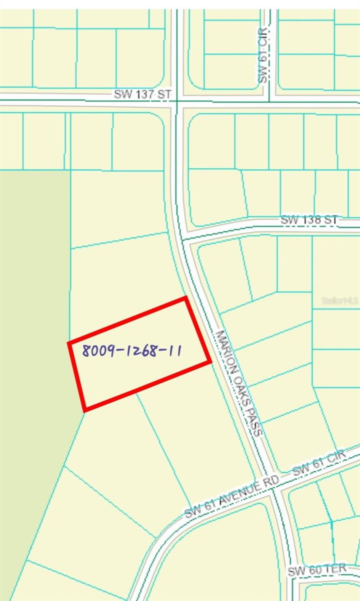  em OCALA, FL - Daniel Dourado