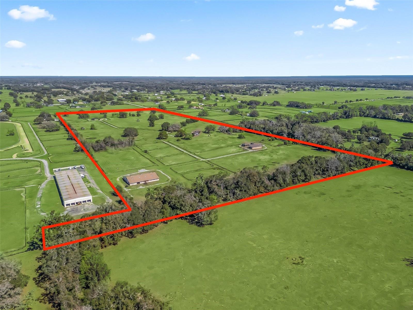 Farm em OCALA, FL - Daniel Dourado