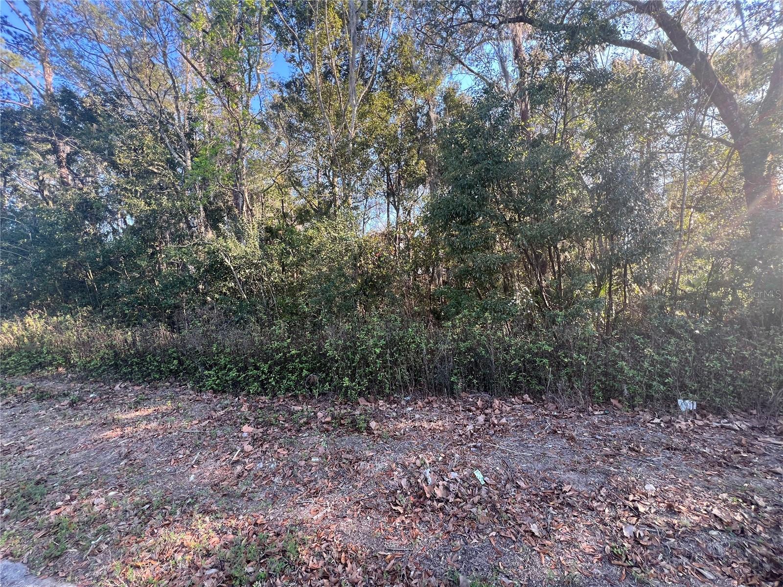  em OCALA, FL - Daniel Dourado