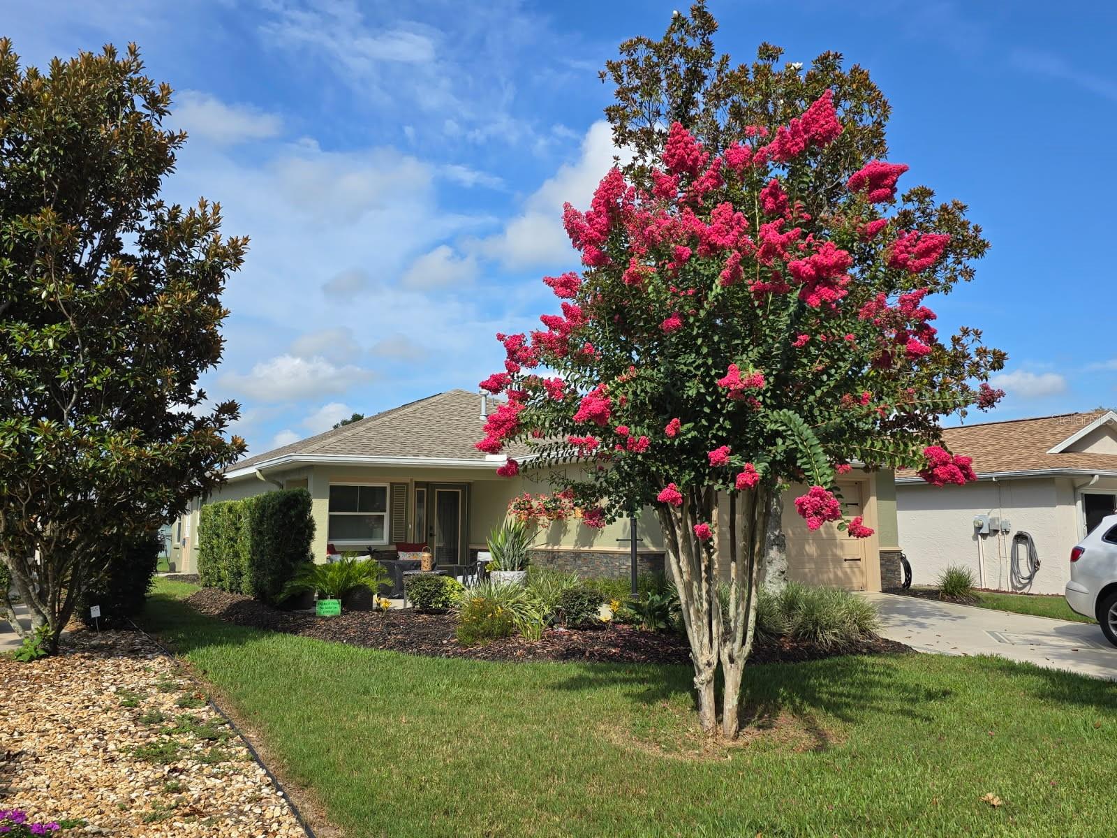 Single Family Residence em OCALA, FL - Daniel Dourado