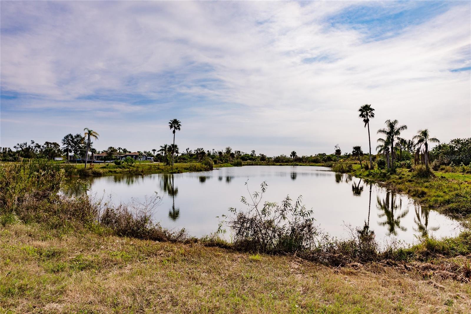  in PORT CHARLOTTE, FL - Daniel Dourado