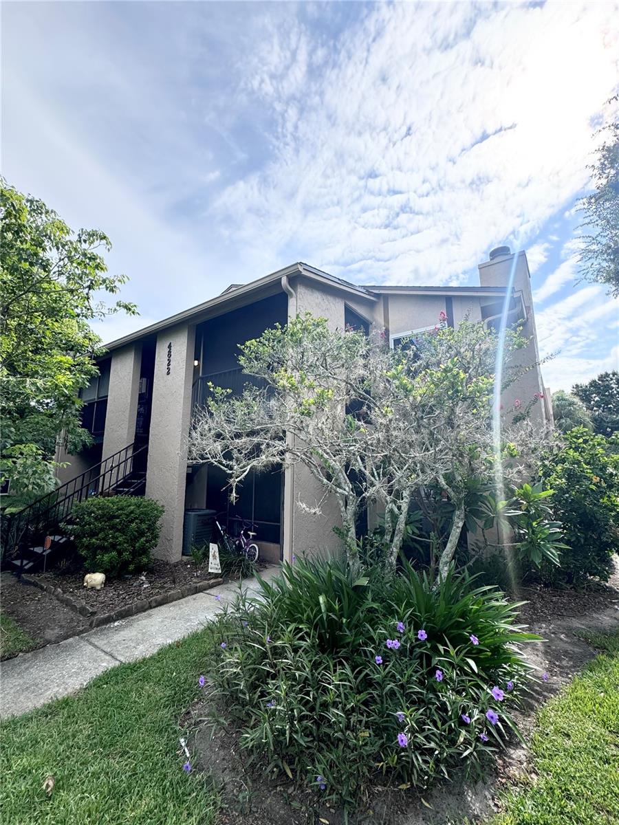 Condominium em ORLANDO, FL - Daniel Dourado