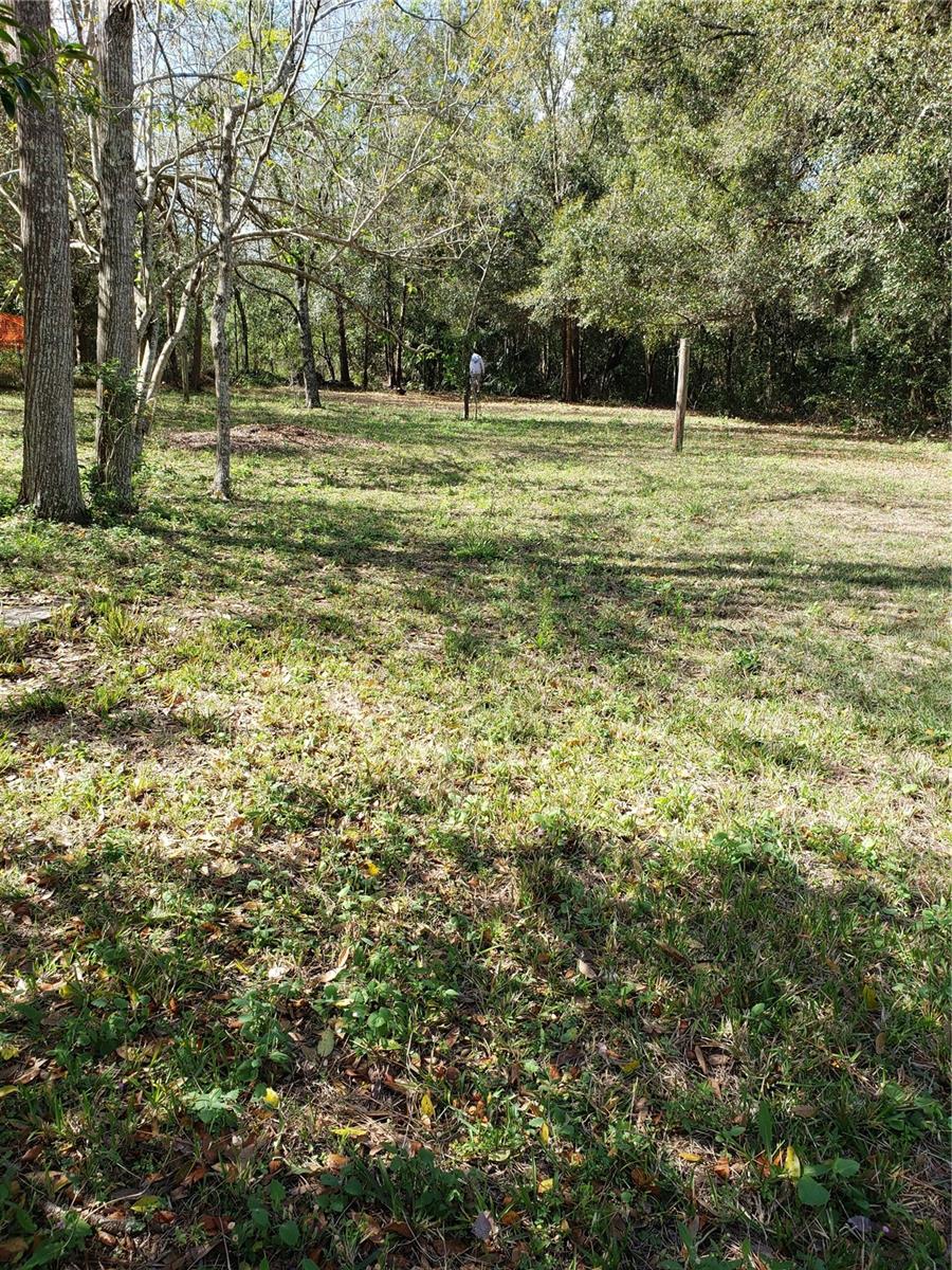  em ORLANDO, FL - Daniel Dourado