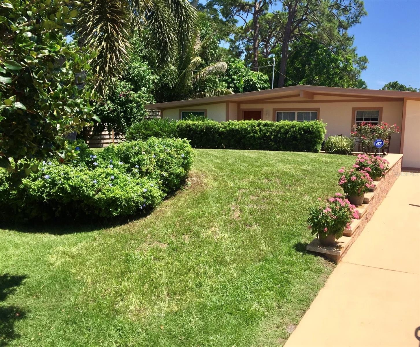 Single Family Residence in SARASOTA, FL - Daniel Dourado