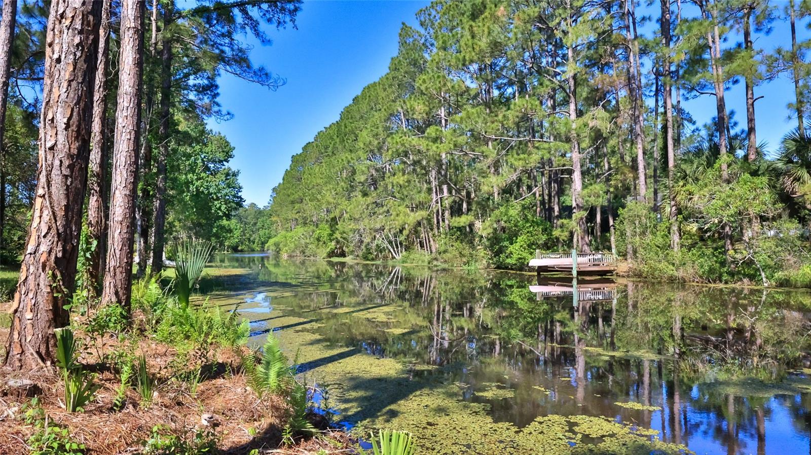 Single Family Residence em PALM COAST, FL - Daniel Dourado