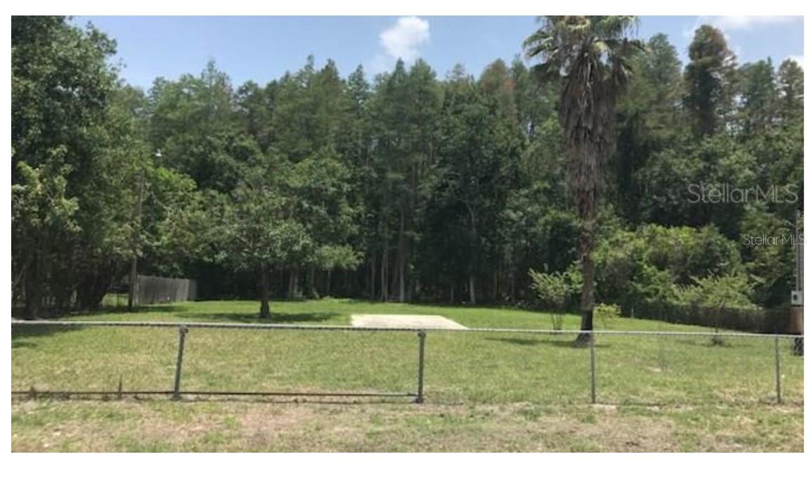  em ODESSA, FL - Daniel Dourado