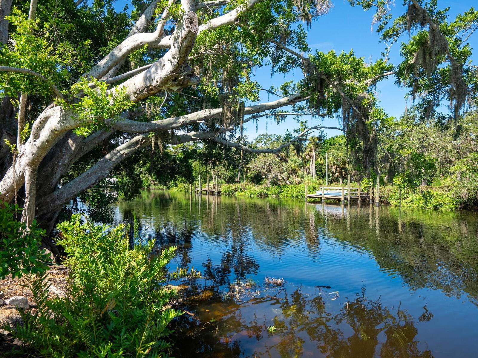 Single Family Residence em SARASOTA, FL - Daniel Dourado